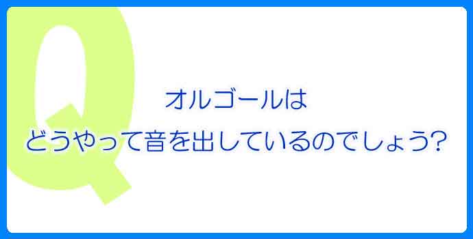 30弁オルフェウス 【EPH】君は僕の宝物（槇原 敬之）※他の曲を試聴